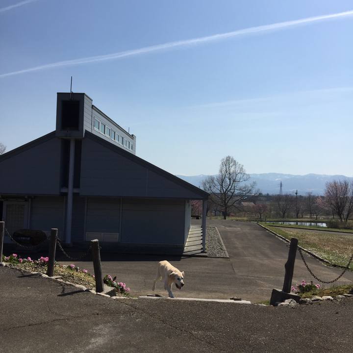 20e9687f f74d 432f 8d98 9a6df3a0e99a 1523330490841