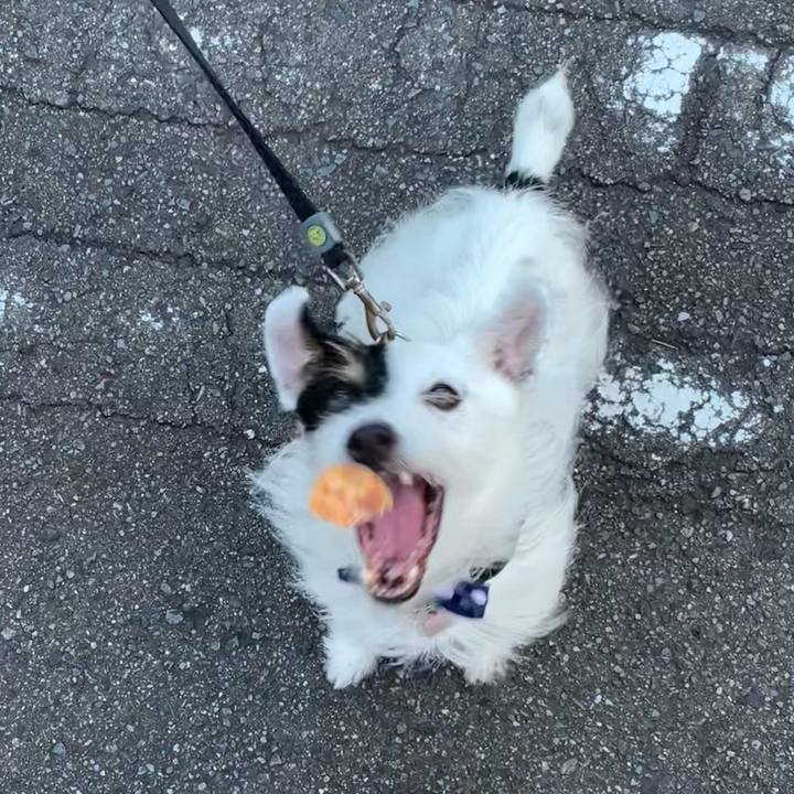 20e98fd1 474d 4933 a0dc d24b85af9698 1662882129396