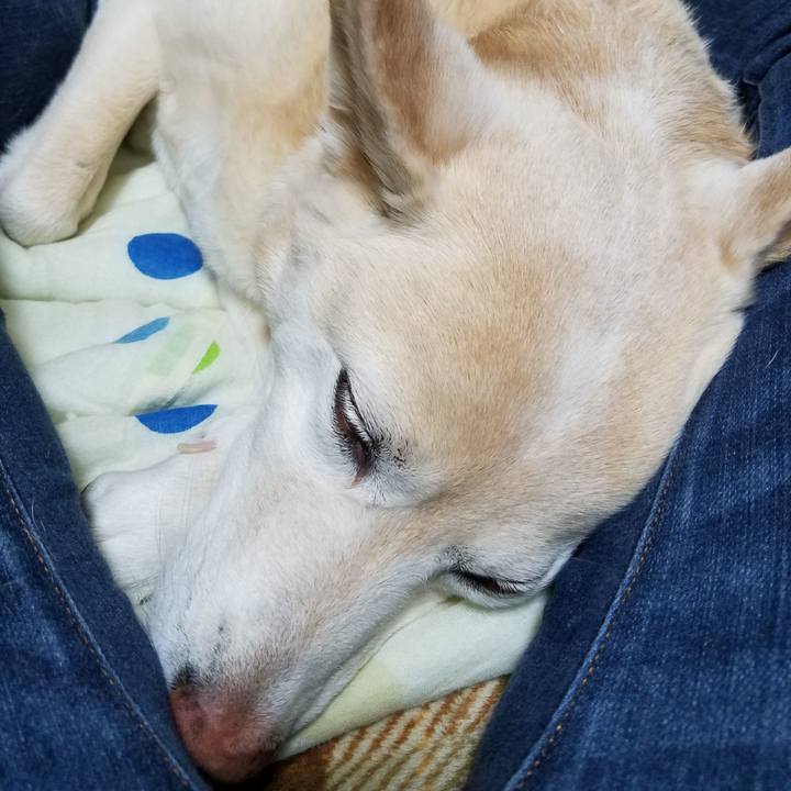 20e9919e 433f 4e69 b9bc 6f4ad343a9f3 1555255241085