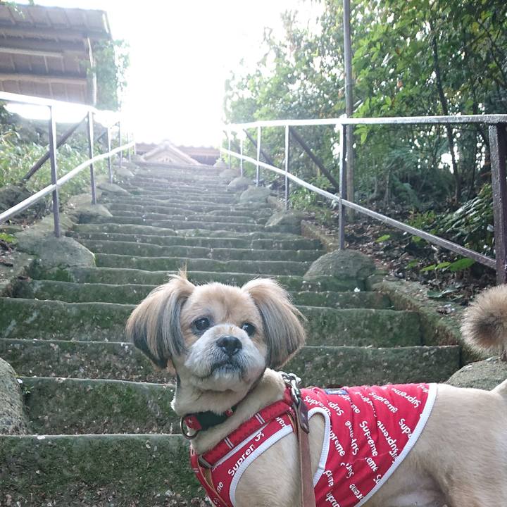 20e9a2e5 44d8 4fa3 acb2 5efc1201f6d7 1586005185312