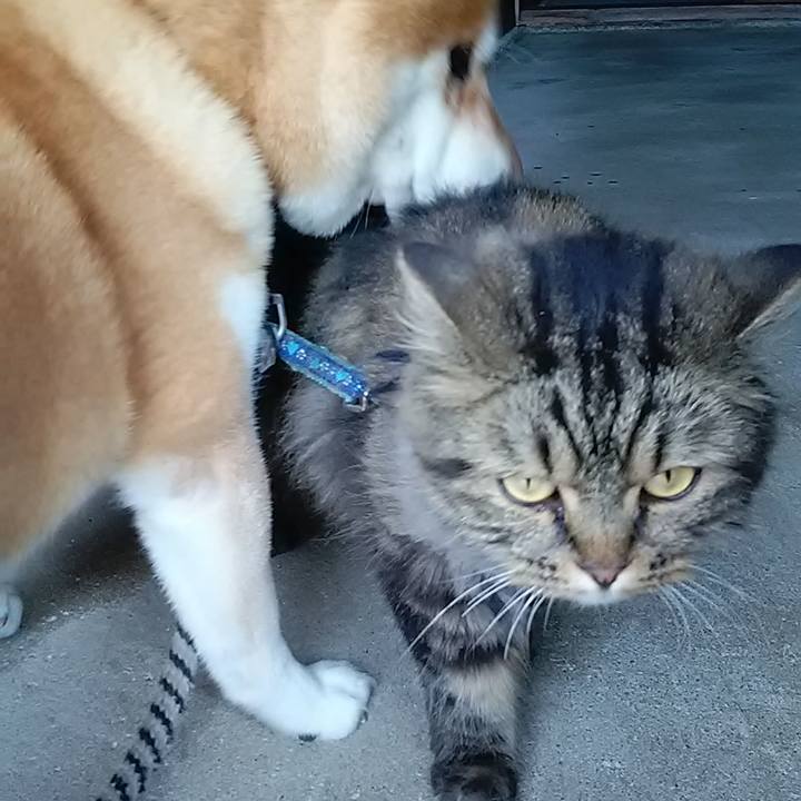 20e9adad 953d 48d3 b4f3 37bd14010abe 1627083584133