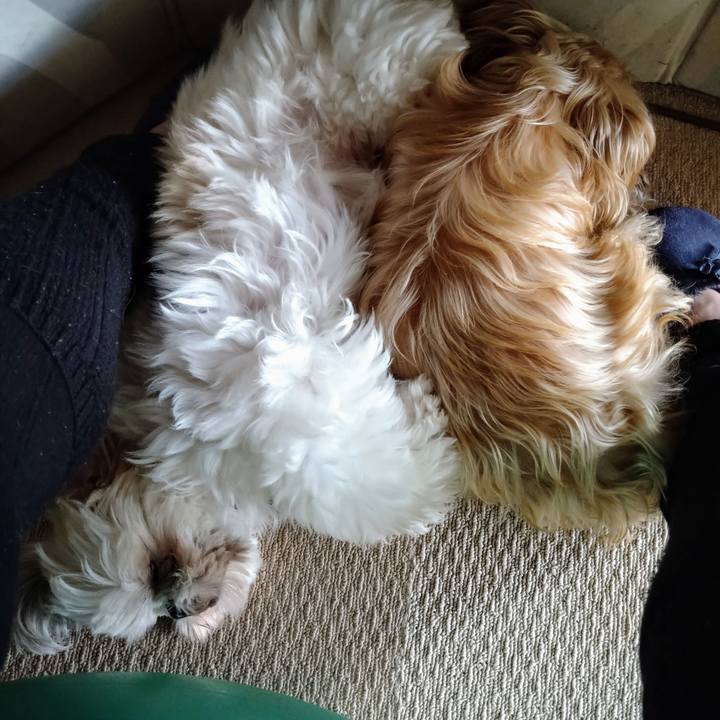 20e9f55a a8b3 4aba bde1 58d5a77bb2db 1612401829504