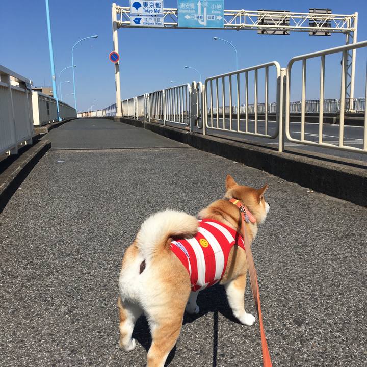 20ea5aea 0b75 4985 8773 5437a7bb6b20 1552451074709