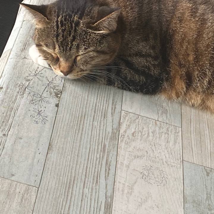 20ea5de7 c1aa 47e4 a7d0 da2d69727a00 1594515001180