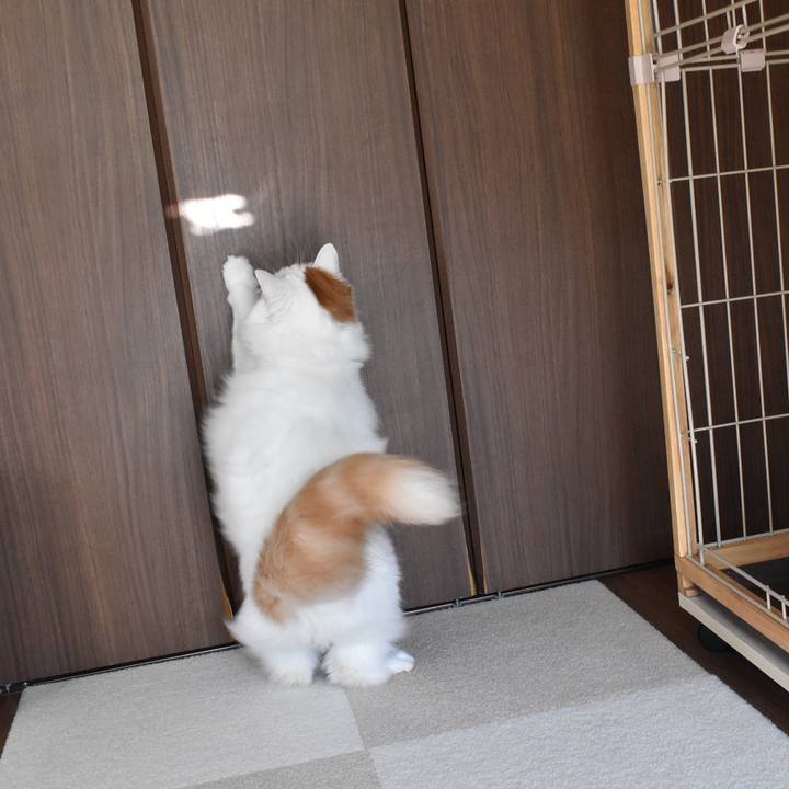 20ea7a87 edec 4c99 96f3 6eac858e4a9b 1763174477734