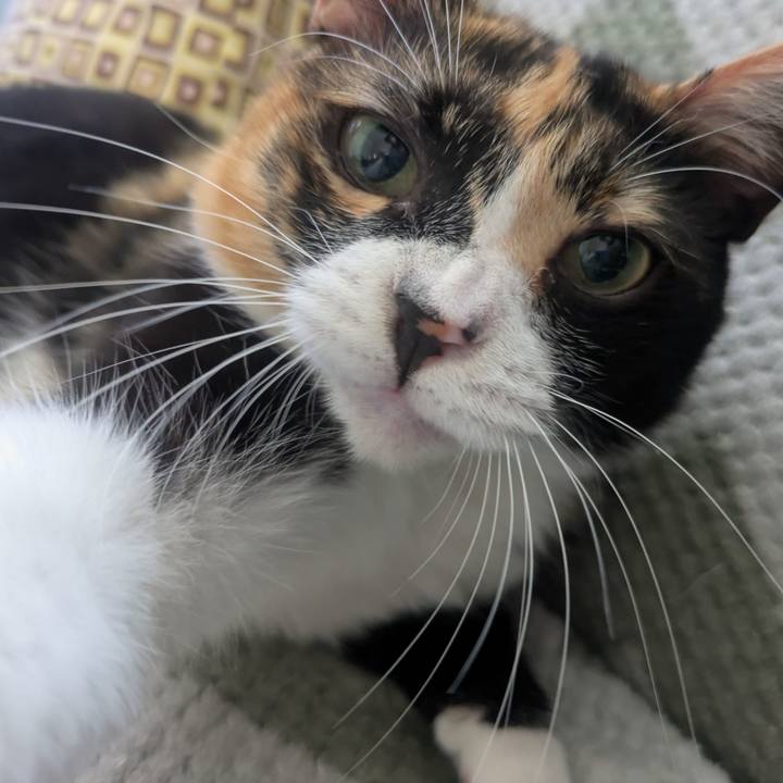 20eaa59e af78 4a7a a08d ecd0c3cdf631 1753771333584