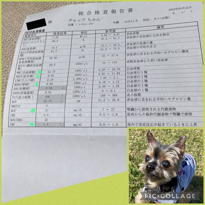 20eac740 77cf 44b8 9ab8 c0aacfe225ef 1716386838722