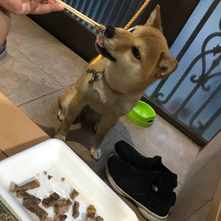 20ead695 512e 4912 9f5d 6e827d46f931 1526468436006