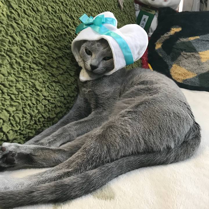 20eaded4 a7c6 42af a1f2 733ab10c377e 1518612029190