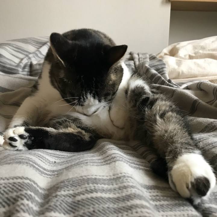 20eb09d6 d75b 455e be94 3e2157b8c8fb 1572737758531