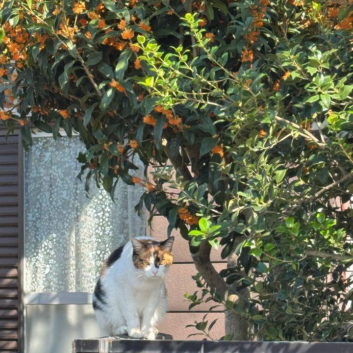 20eb3751 dc3f 418f ab91 6ce46ecc94b8 1761273151258