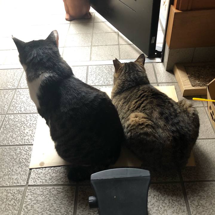 20eb66a7 6f13 46f4 81b8 9e121add0bba 1590055313539