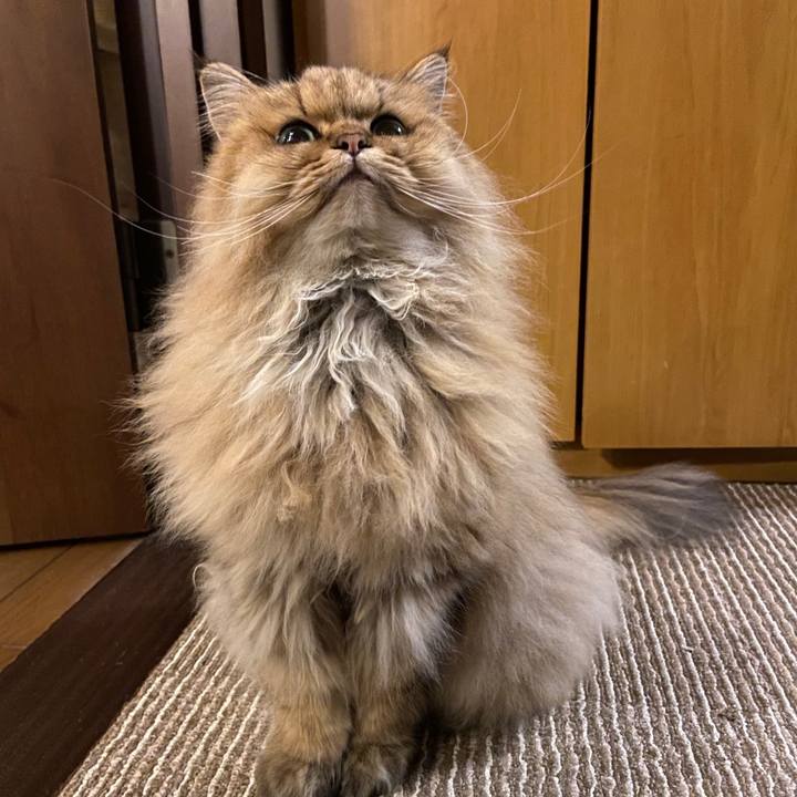 20eb7f9e 462c 437e 8b9f c41ad7661949 1633615642388