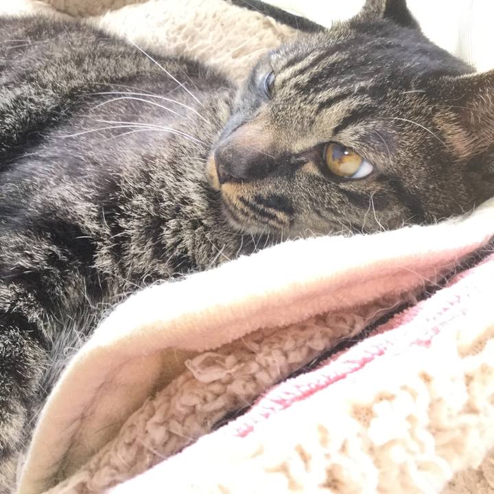 20ebc619 90cf 4712 8e6d 5afc918270b5 1598668534198