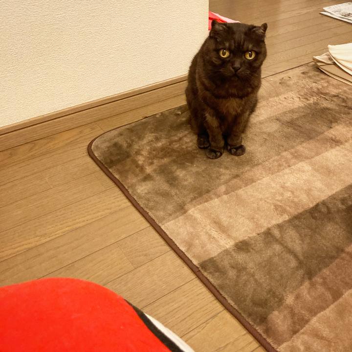 20ec0fb8 e2b0 4159 8723 e688d30baae9 1589384208516