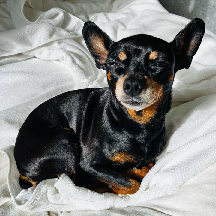 20ec3409 3456 4934 b561 da401bac4720 1765841557171