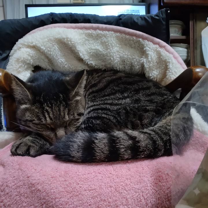 20ec61d5 a512 419e 96d4 ab4183d481aa 1673179876310