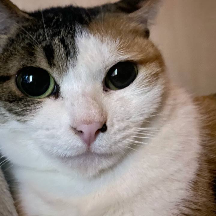 20ec7916 7db2 403c 8234 ee412c2ae2f7 1646397866067