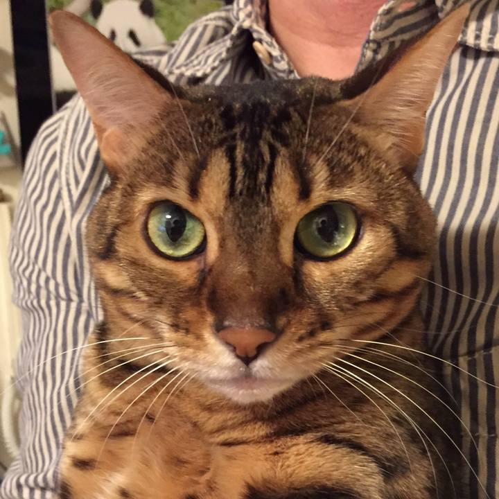 20ecd7fc 722f 40f9 b999 71bf527fa9c5 1543015279327