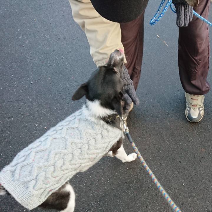 20ed0737 bf4e 4df9 86b3 d68bf250eaa0 1545046919265