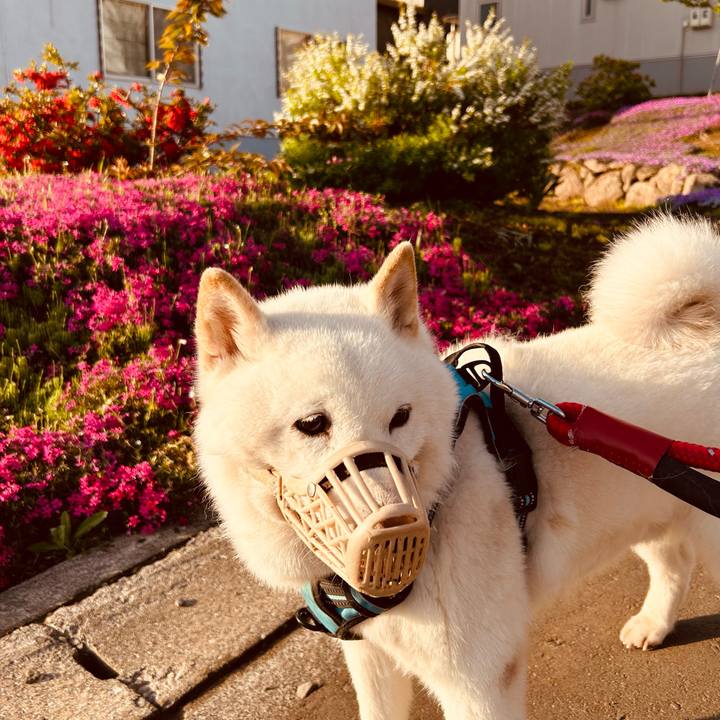 20ed95db 40f8 493e 8765 3f3036bf21fd 1684184015295