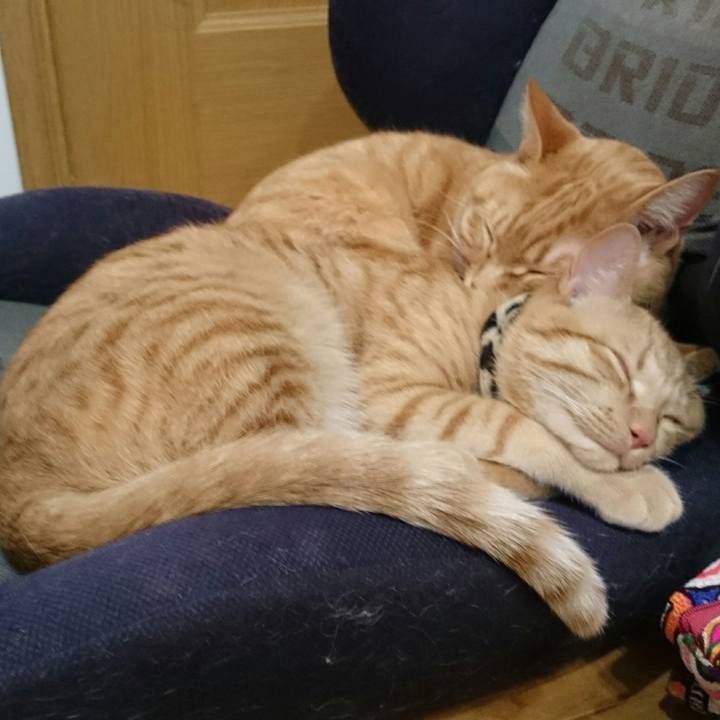 20edf890 8f13 40f2 a7b9 92d5d6530b90 1552438437239