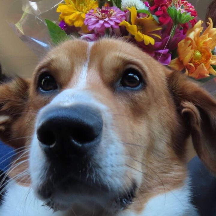 20ee6bad be62 4800 9db5 9932e8a7595f 1628424759971