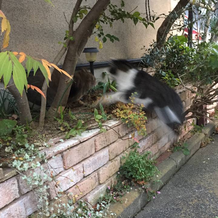 20ee6ef1 ac1f 4dc8 942d 9962404c689c 1512635972514