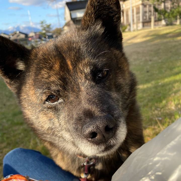 20ee761b 3c7a 45e1 a814 d86b1771833b 1585124272531