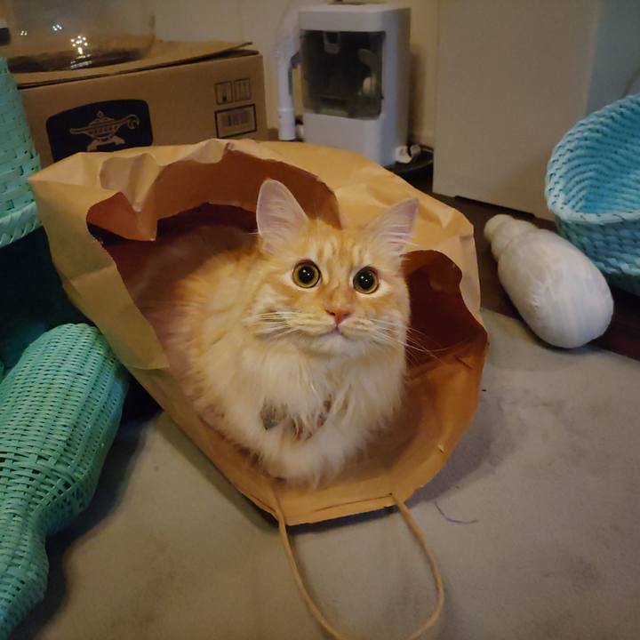 20ee9258 ae68 42be a13b 110dda4b82e0 1654869086892