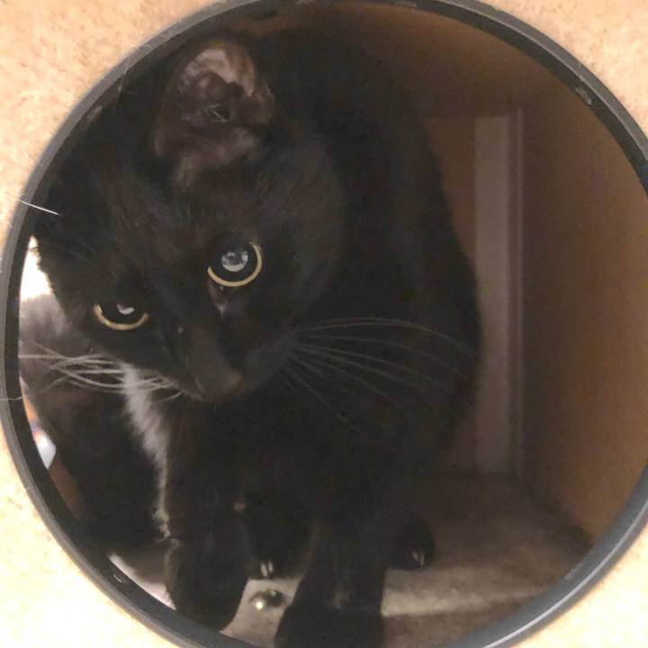 20eeac98 913f 43a5 af86 aca32fa1b7c1 1559702677722