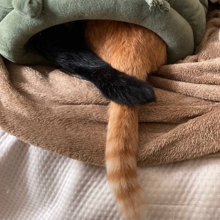 20eebf05 d3ad 41f9 8965 92abddce8c72 1663816119457