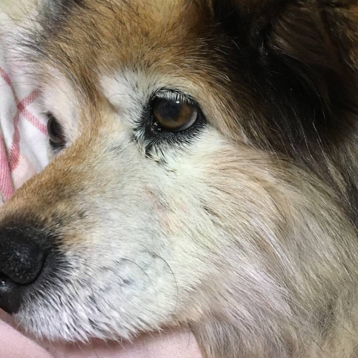 20eed3ff 731b 48db 8b4c 8adbd4920b36 1588994919816