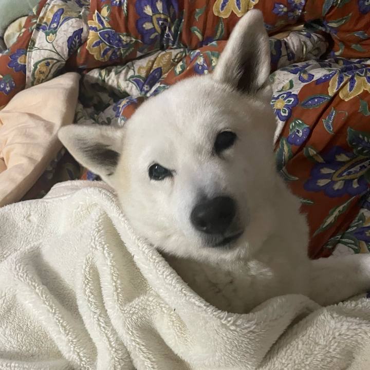 20eee077 4883 42a0 9900 efeabe9b9c70 1676097060229