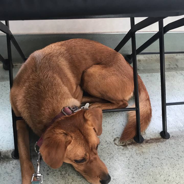 20eef382 1121 451e 95b8 7f4c9f3d0e0c 1540189441009