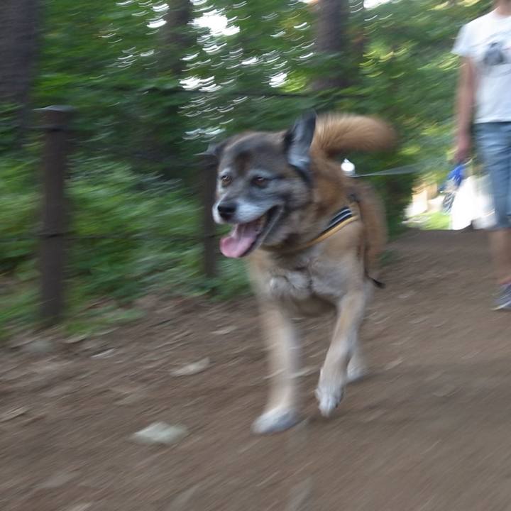 20eefe5b 4e80 4156 802c 44b502ff06f8 1586480900593