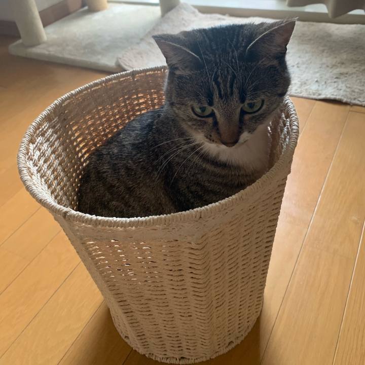 20ef131a 84ed 44c6 8bd0 46442a12ab2d 1565255223889