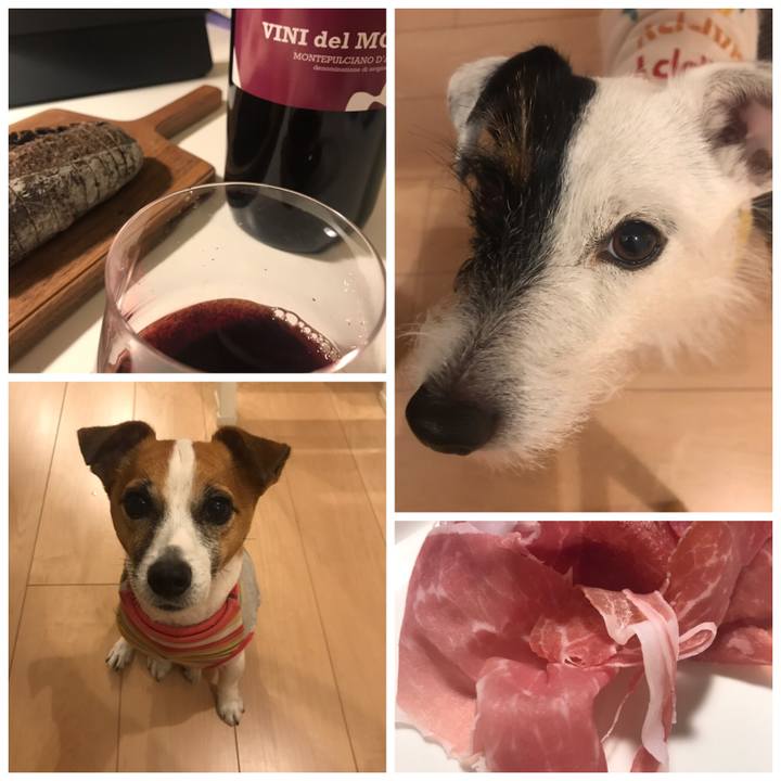 20ef1a08 e8ce 4c66 be44 40a5edae002c 1544343215011