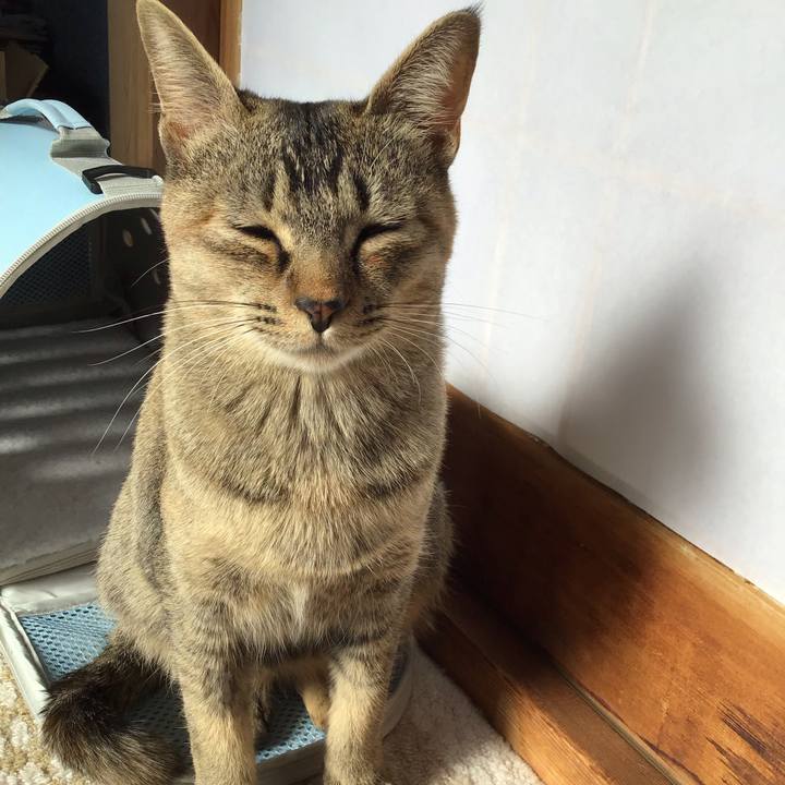 20ef2324 984b 46fd 8ce3 4b6c44d1abd7 1578194106490