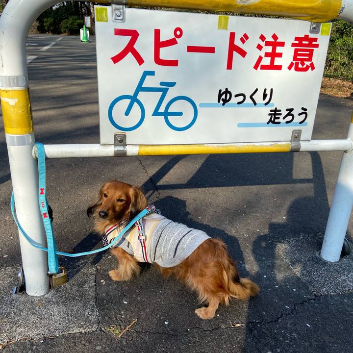 20ef304f 9d4b 48f5 9b39 ccc7aa591bca 1643237838030