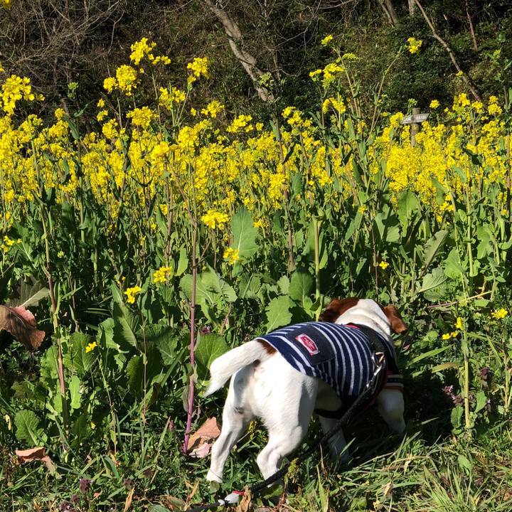 20ef5faf 5065 4678 9de3 25daaf38ec14 1552984054648