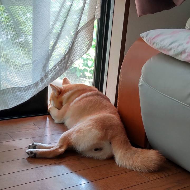 20efbd76 299d 405e 8ed3 67fada8980a1 1655356786831