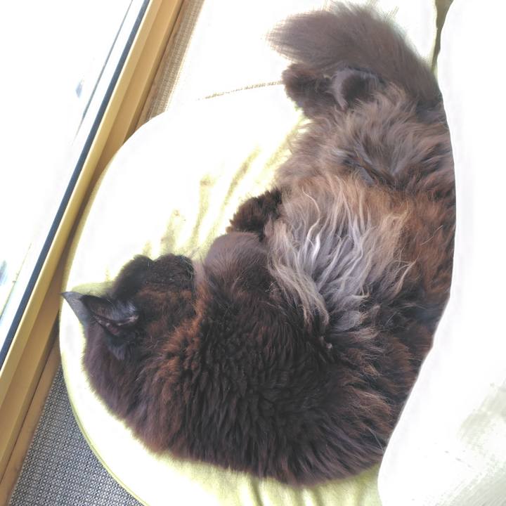 20efd237 7e34 4c4c 998a ae6e1c08a358 1775260574025