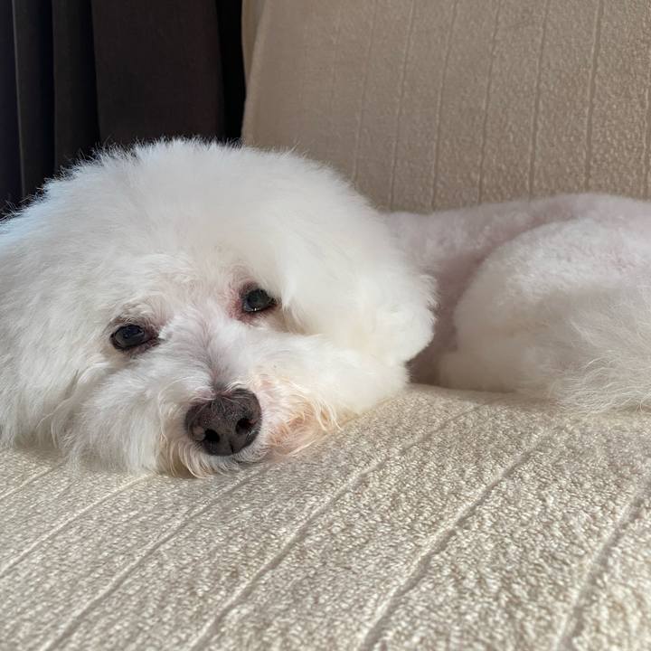 20efd822 c177 440e 96d1 6d109924a41b 1633330865349