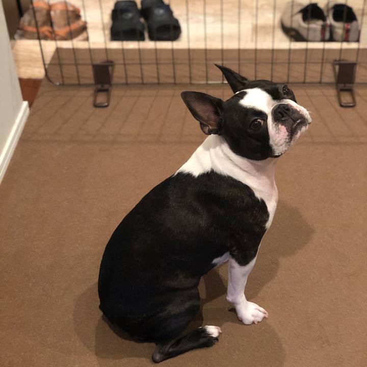 20efe0b6 b83c 491a 8c0d f689129cc1ab 1565853284942