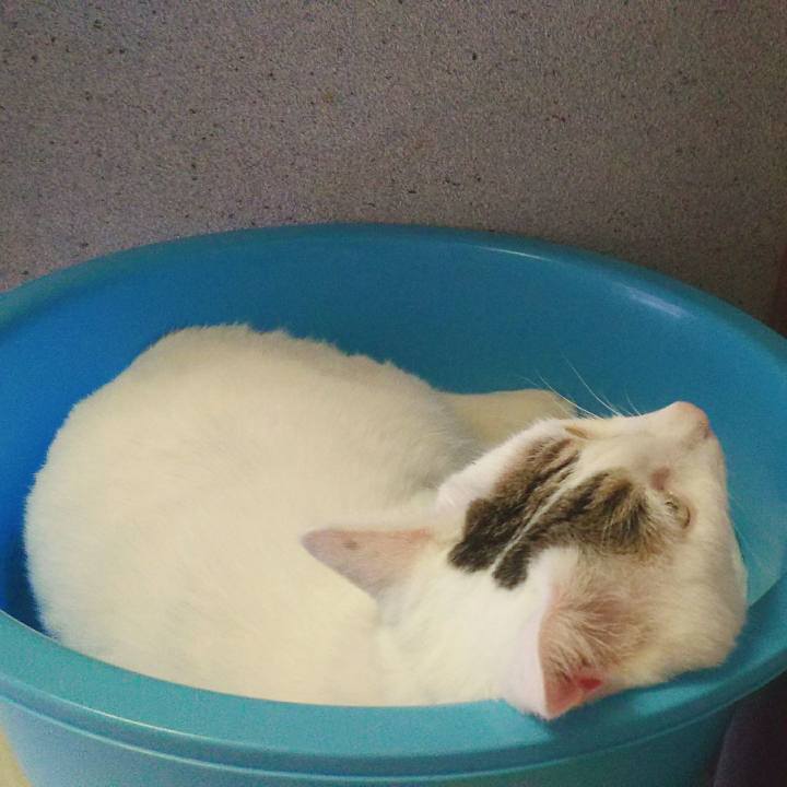 20efee80 3232 4d14 b62b 19c103024d75 1533262924802