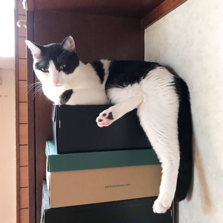 20f003ea 0ef6 4d01 9130 328442c78f69 1529809013532