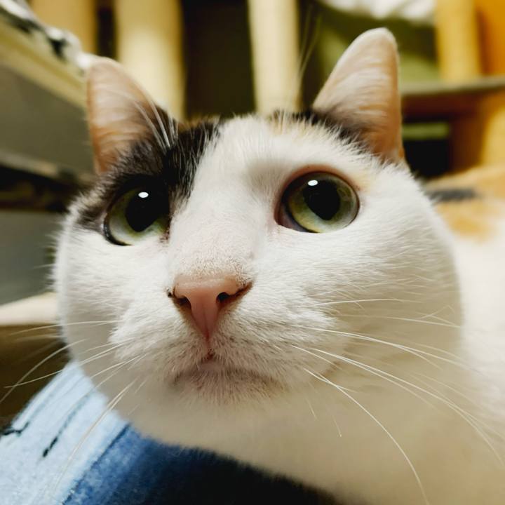 20f072d1 b0ff 4531 a033 5c5bf97f5132 1585014631347