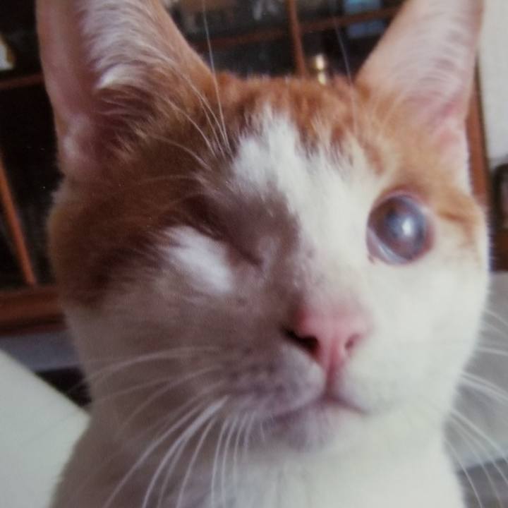 20f07c28 e145 45cc 8c07 6f44316205e7 1540644096283