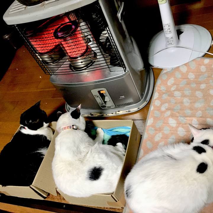 20f08f95 88e2 49d7 853c 5f2bd3d3b52a 1517388425730